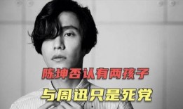 陈坤狗仔爆料是真的吗视频,陈坤狗仔爆料视频真实性揭秘