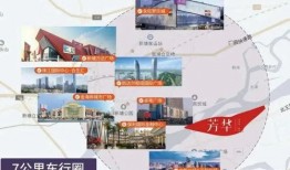 飞哥爆料零食视频大全集,一场味蕾的狂欢之旅